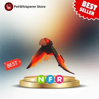 NFR Storm Condor