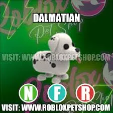NFR DALMATIAN