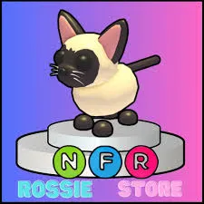 NFR SIAMESE CAT