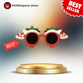 ssbd sunnies