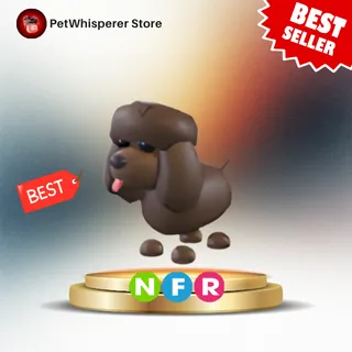NFR IRISH WATER SPANIEL