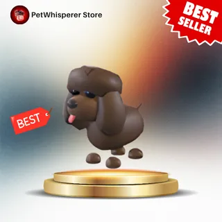 IRISH WATER SPANIEL