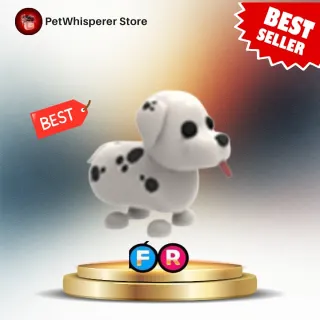 FR DALMATIAN