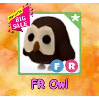 FR OWL