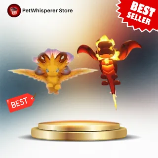 Solaris Dragon & Aestus Dragon 
