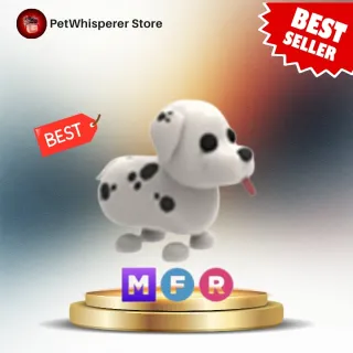 MFR DALMATIAN