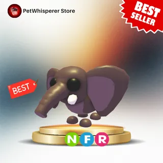 NFR BUSH ELEPHANT