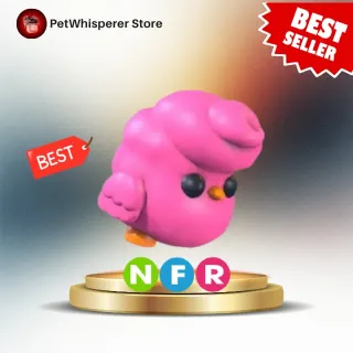 NFR CandyFloss Chick