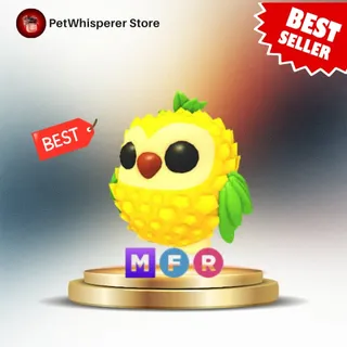MFR PINEAPPLE OWL