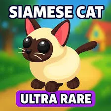 Siamese Cat