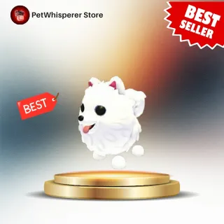 SAMOYED