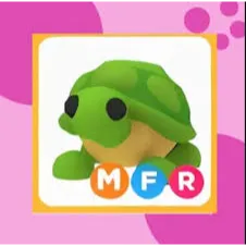MFR TURTLE