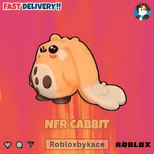NFR Cabbit