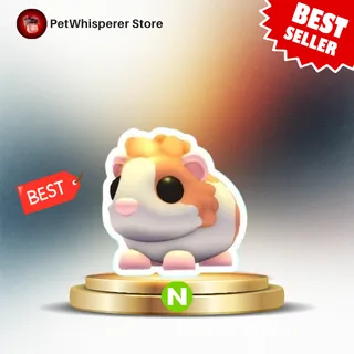 Neon Red Dutch Guinea Pig