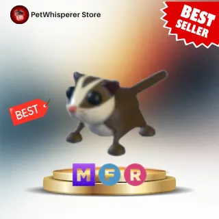 MFR Sugar Glider