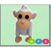 NFR Albino Monkey