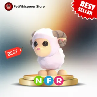 NFR RAM