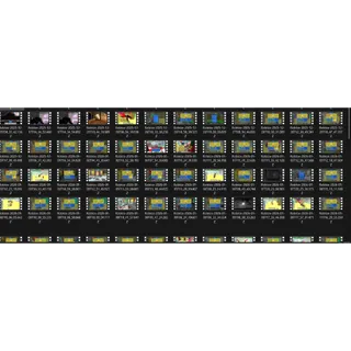 10 Star Signs For $13