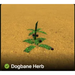 Bridger Western | 20x Dogbane Herb | DBS