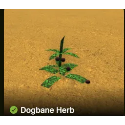Bridger Western | 30x Dogbane Herb |DBS