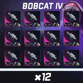 ARC RAIDERS BOBCAT IV*12