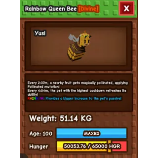 RAINBOW QUEEN BEE  51KG