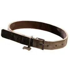10x Dog Collar (Material) - ARC 