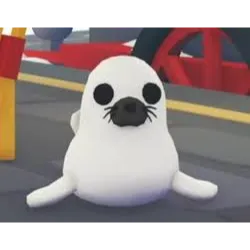 [R] Harp Seal - Adopt Me