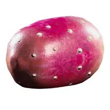 ARC Raiders | 6 Oliver + 6 Prickly pear