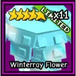 Winterray Flower | GTD