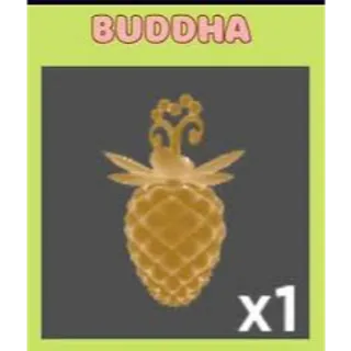 Buddha Fruit (Hito no Mi) [Trade] - GPO