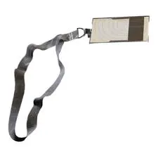 Dam Staff Room Key x2 | ARC 