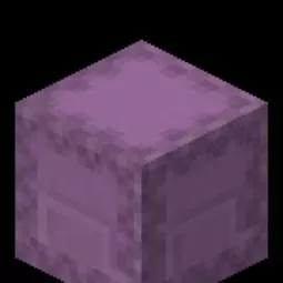 Shulker of Skeleton Spawners | DonutSMP 