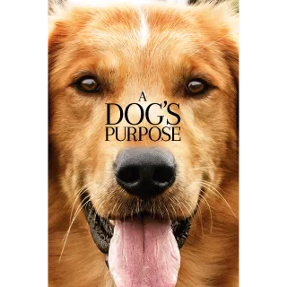 A Dog's Purpose HD/MA *NFB1607-HAPP01