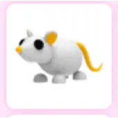 Golden rat