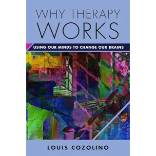 Why Therapy Works: Using Our Minds to Change Our Brains (Norton Series on Interpersonal Neurobiology)