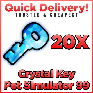 X20 Crystal keys