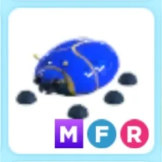 mfr giant blue scarab