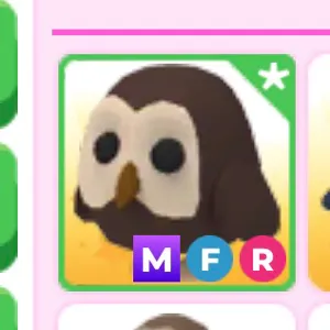 mfr owl adopt me