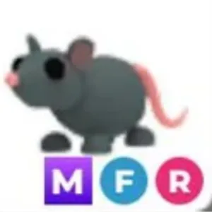 Rat MFR