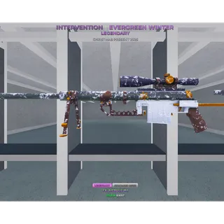 INTERVENTION / EVERGREEN WINTER ( Clean Matching Fx's Gun) Cheap