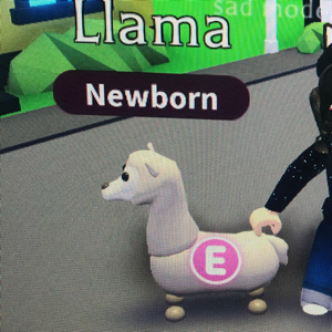 Pet Adopt Me Llama In Game Items Gameflip - roblox llama adopt me