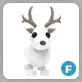 F Arctic Reindeer Adopt Me!