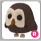R Owl Adopt Me!
