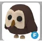 F Owl Adopt Me!