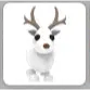 Arctic Reindeer Adopt Me!