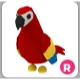 R Parrot Adopt Me!