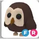 FR Owl Adopt Me!