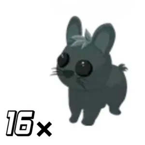 16x AMAMI RABBIT