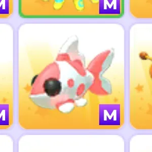 Mega Koi Carp